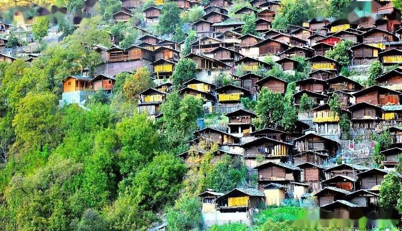 如何成为一名优秀的民族旅游硕士生导师？